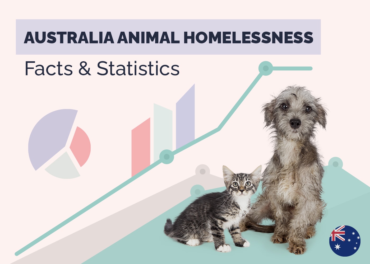 10 Shocking Australian Animal Homelessness Statistics: 2026 Update