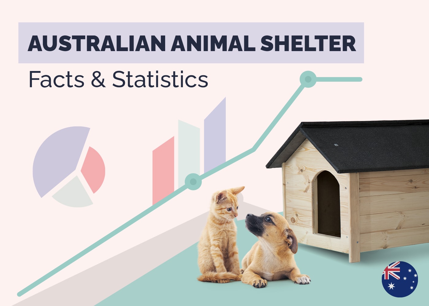 11 Shocking Australian Animal Shelter Statistics & Facts: Updated in 2026