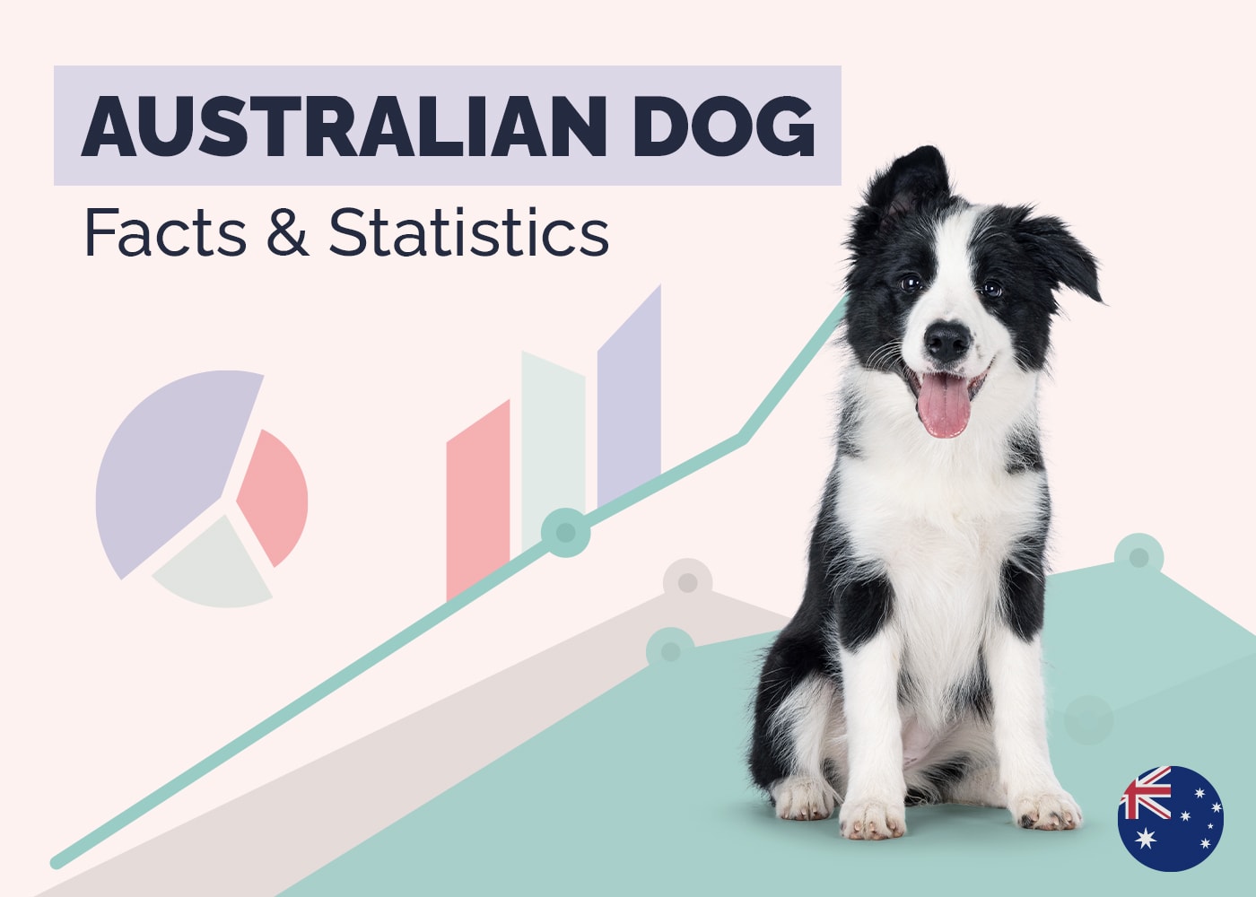 15 Incredible Australian Dog Statistics & Facts (2026 Update)
