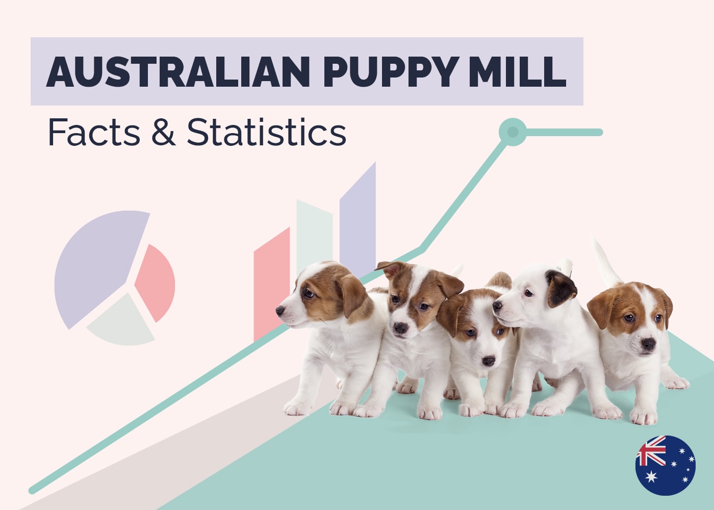 9 Shocking Australian Puppy Mill Statistics & Facts: Updated in 2026