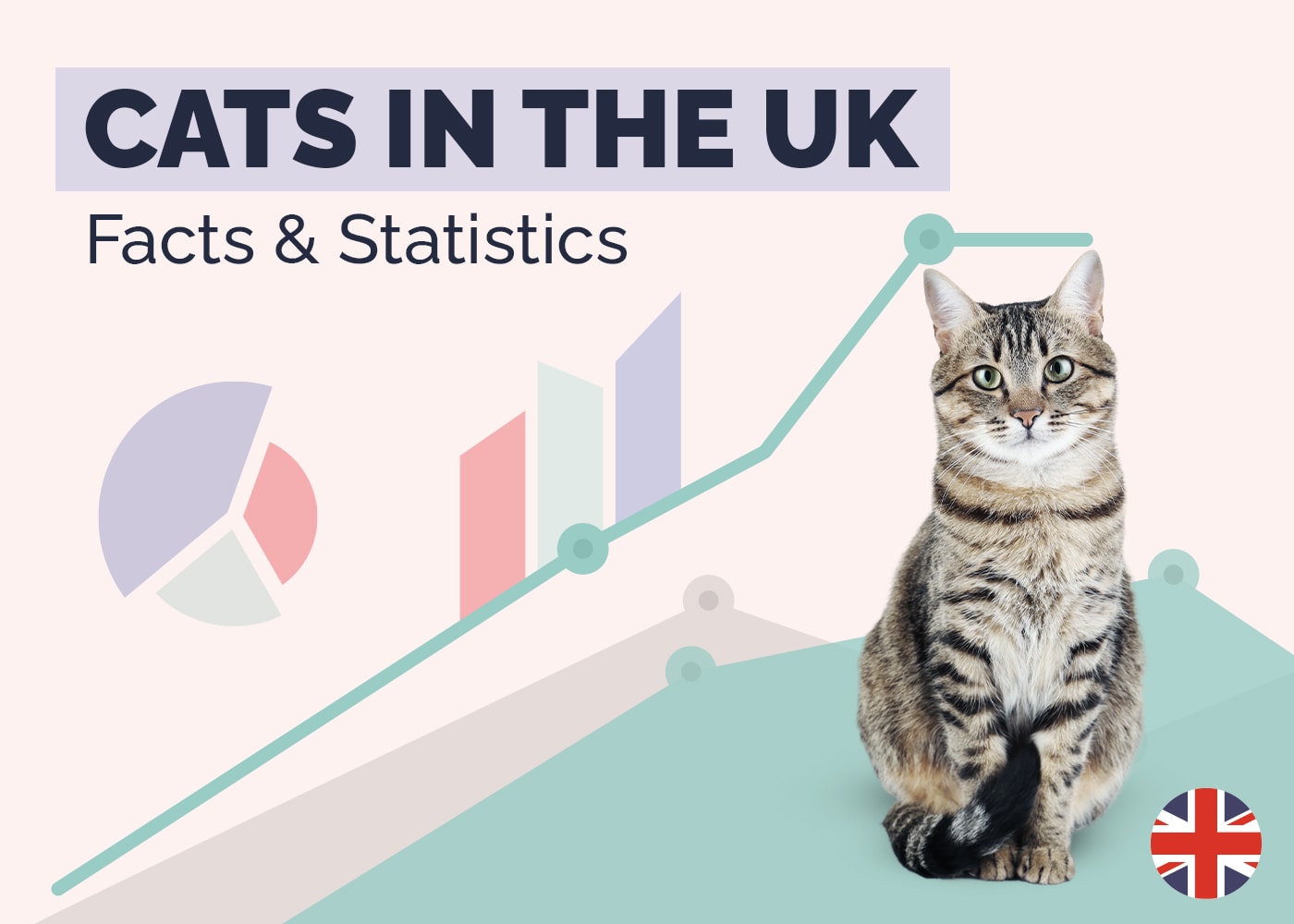 How Many Cats Are There in the UK? 20 Surprising Statistics: 2026 Update