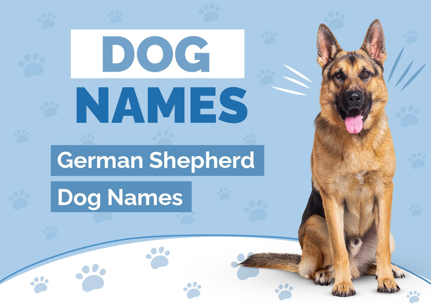 200 Names for German Shepherd Dogs: Bold, Loyal & Strong Ideas
