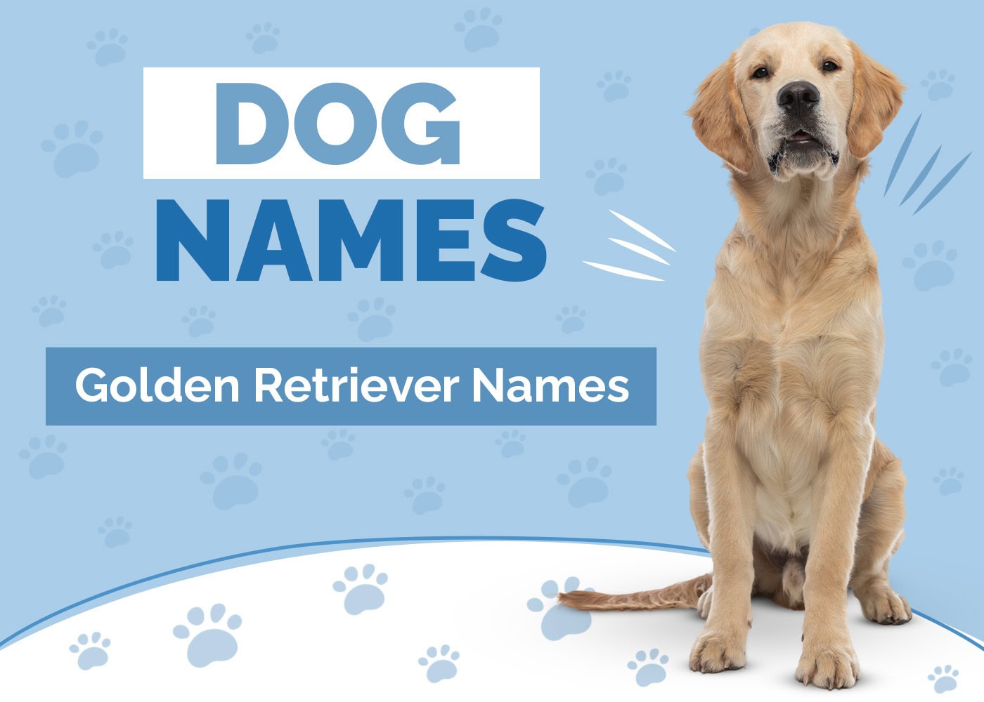 100+ Golden Retriever Names: Ideas for Cute & Fun-Loving Dogs