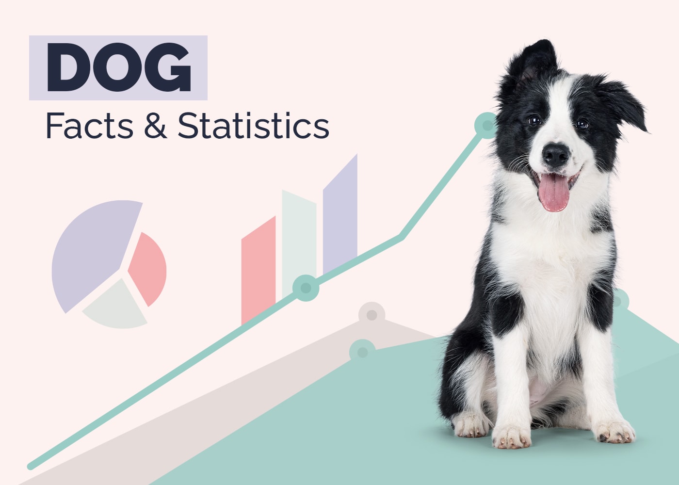 15 Incredible Dog Statistics & Facts: Updated in 2026