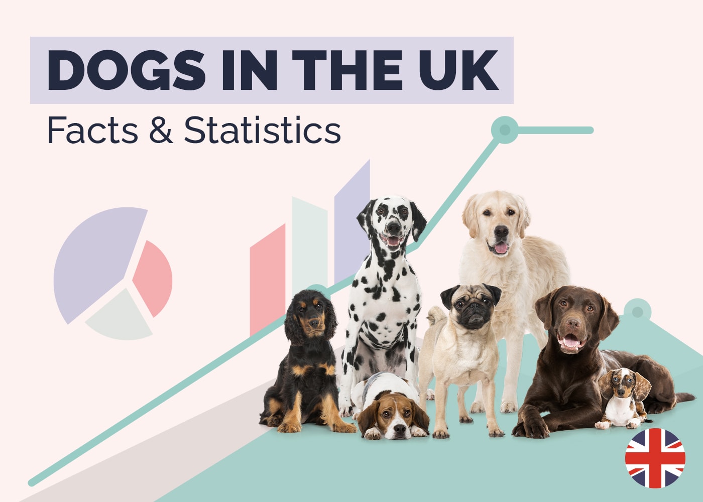 How Many Dogs Are There in the UK? 20 Surprising Statistics: 2026 Update