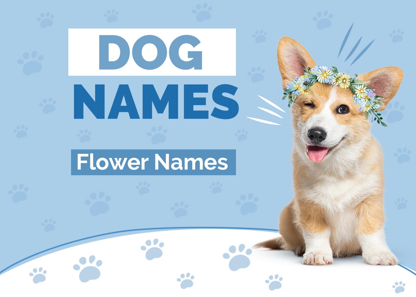 140 Adorable Flower Names for Dogs (With Meanings)