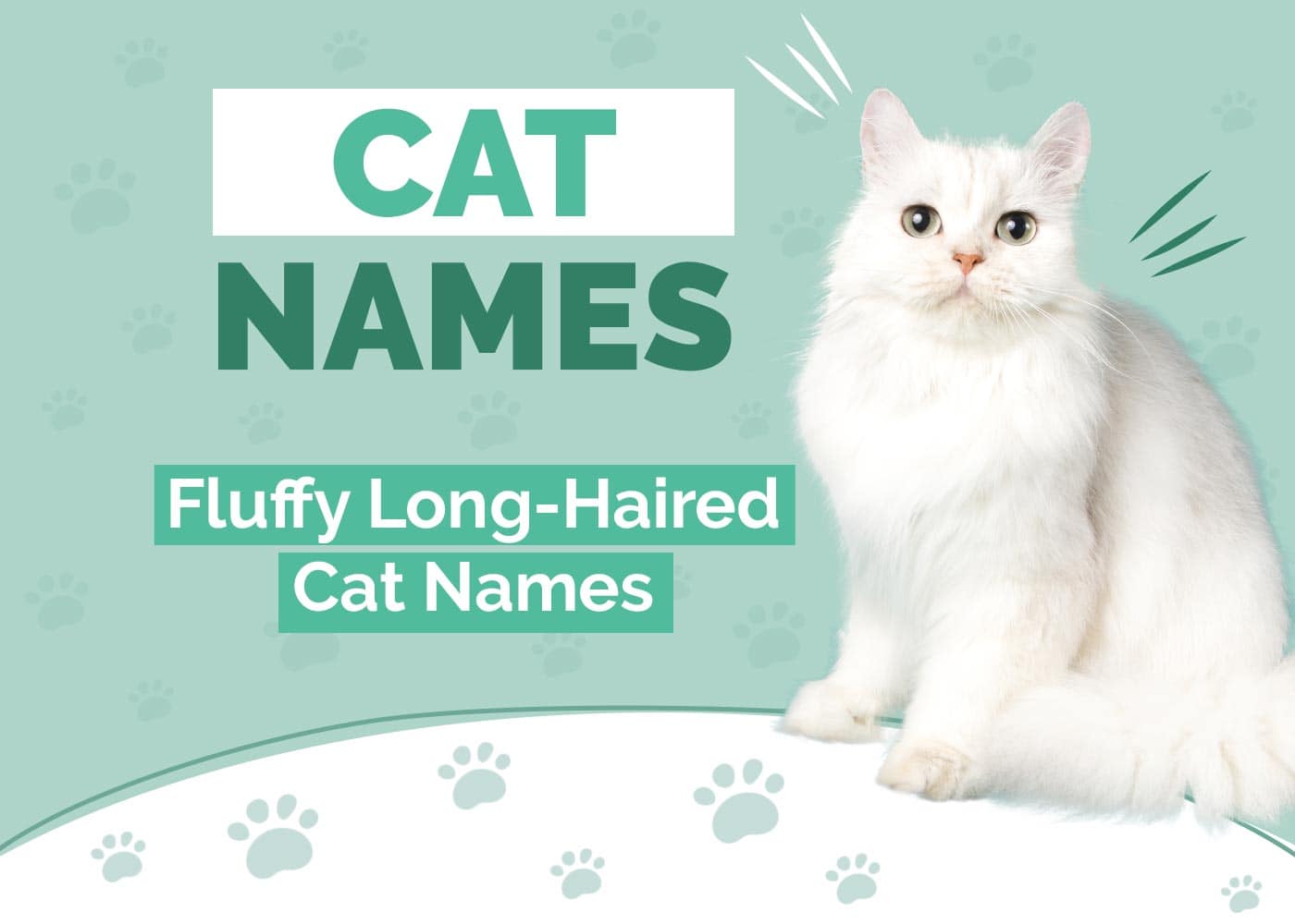 130+ Fluffy and Long-Haired Cat Names: Our Top Picks for Your Silky & Cute Cat