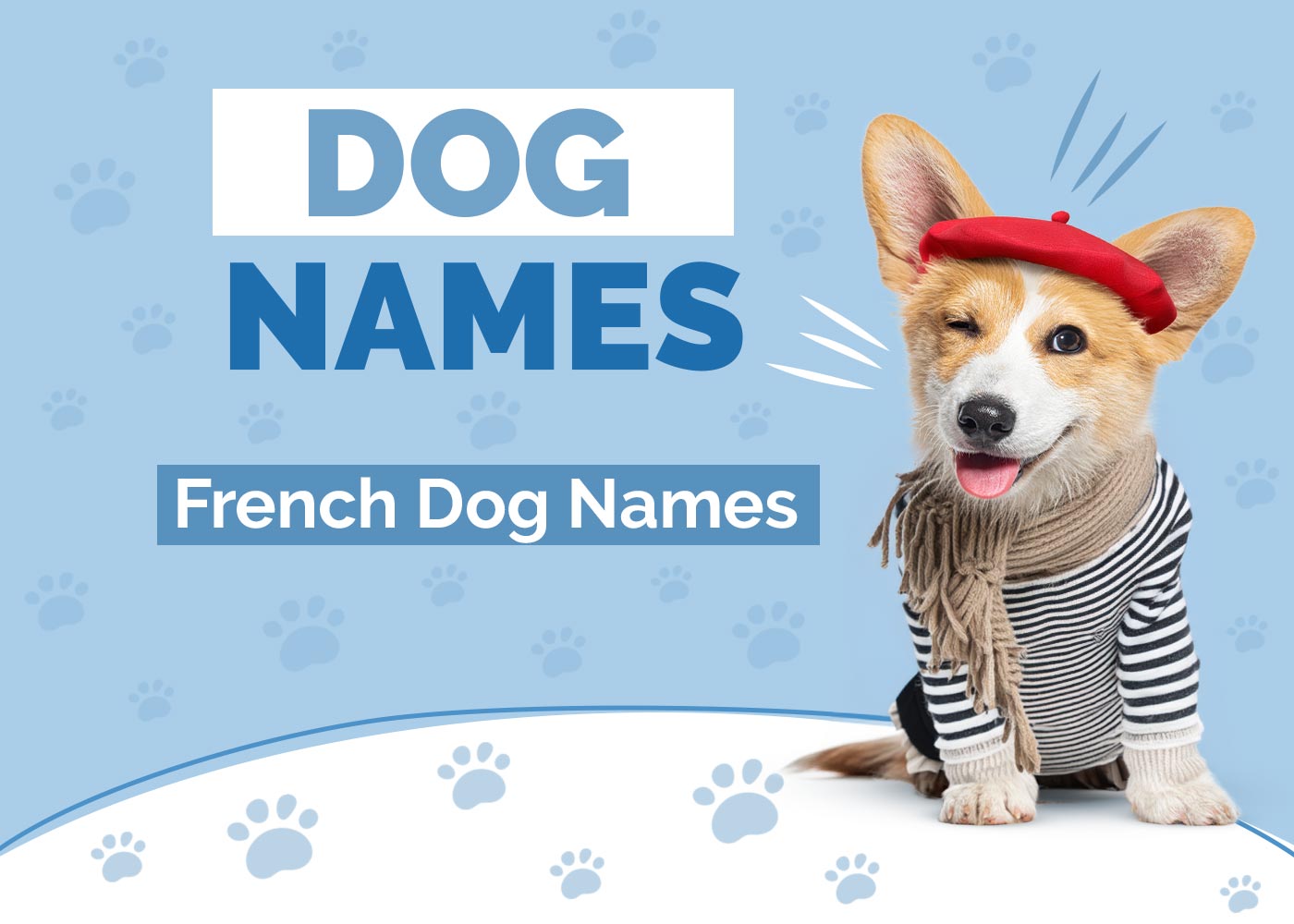 100+ French Dog Names: Ideas for Chic & Elegant Dogs