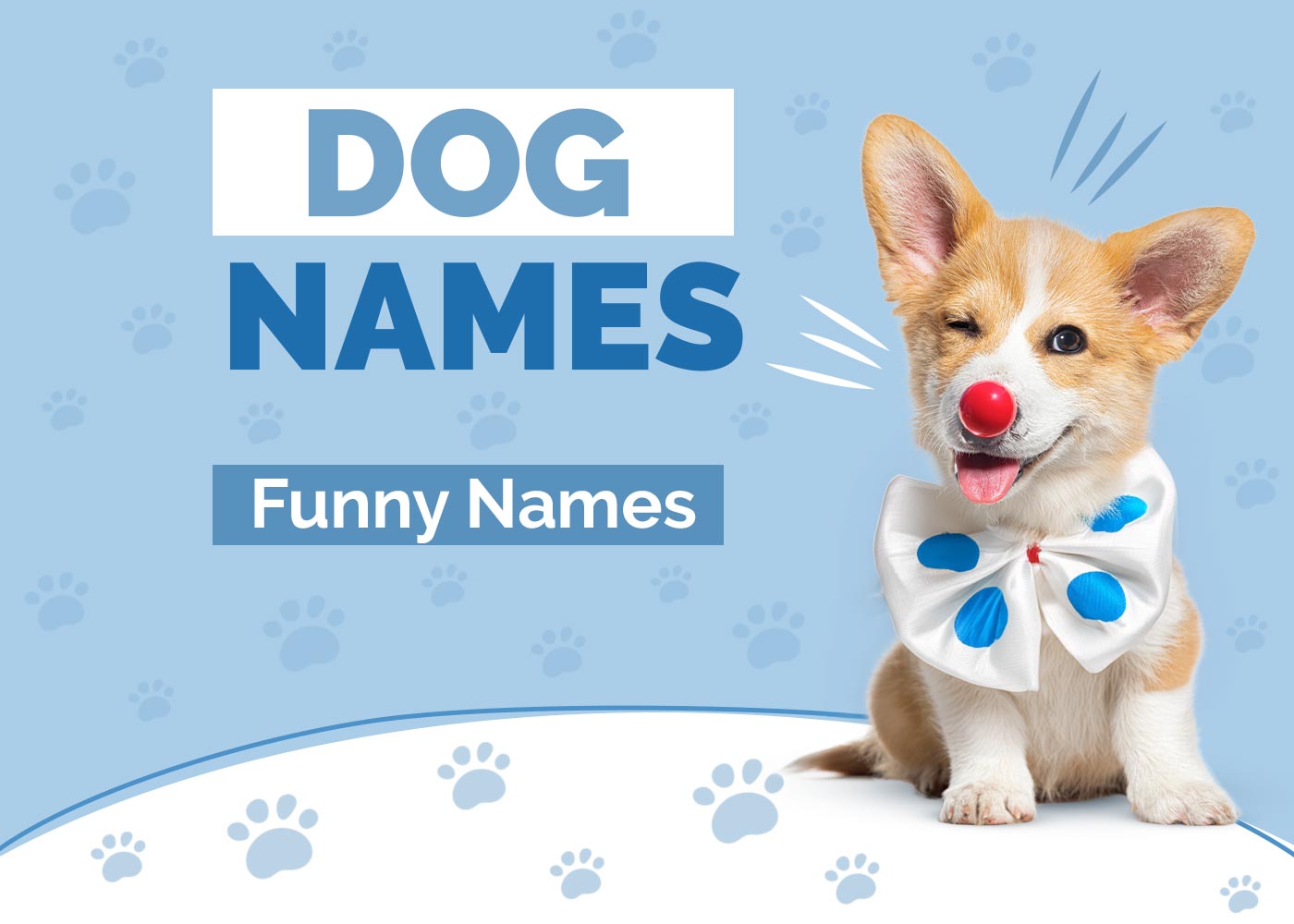 100+ Funny Dog Names: Ideas for Happy & Hilarious Dogs