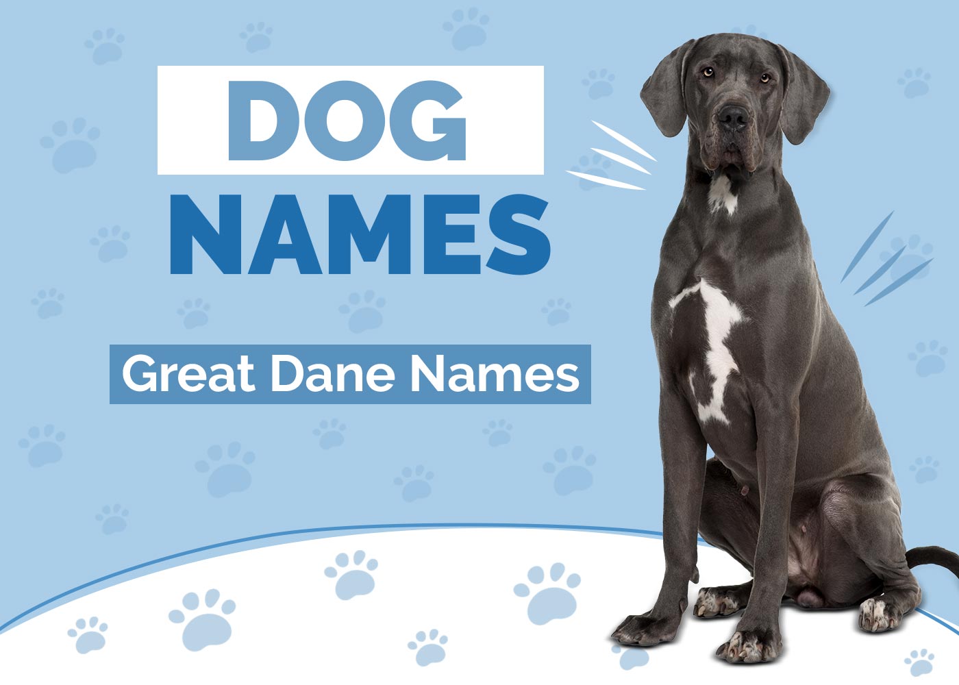 100+ Great Dane Names: Ideas for Giant & Gentle Dogs