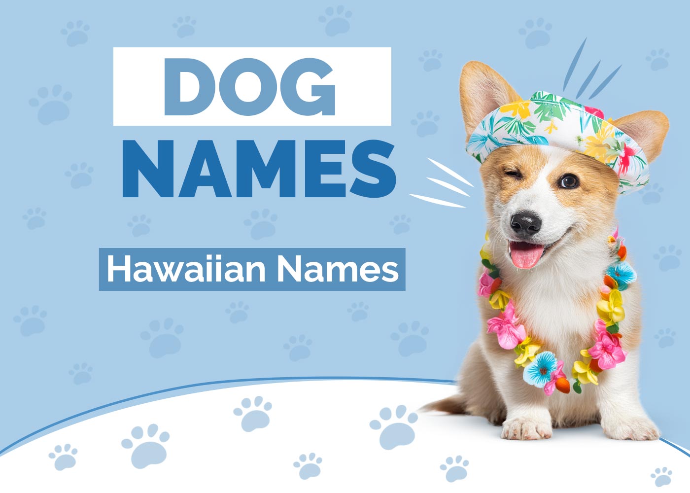 100+ Hawaiian Dog Names: Ideas for Laid-Back & Adorable Dogs