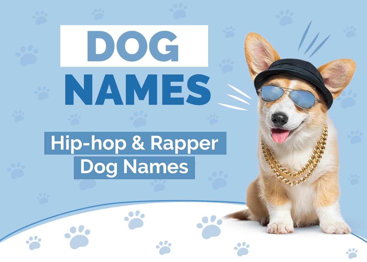 100+ Hip Hop and Rapper Dog Names: Ideas for Funky & Badass Pets