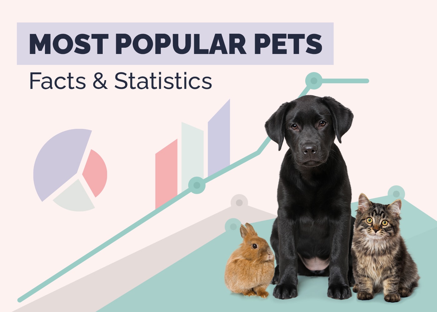 What Are the Most Popular Pets in 2026? 13 Interesting Statistics