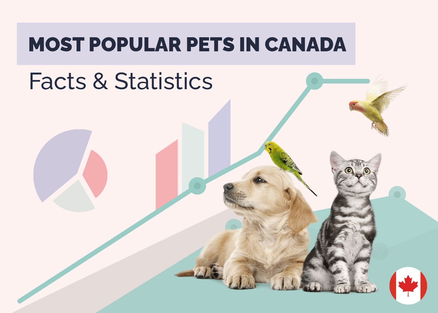 What Are the Most Popular Pets in Canada in 2026? 10 Statistics & Facts