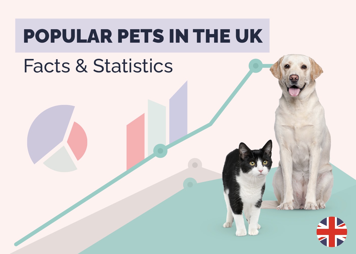 What Are the Most Popular Pets in the UK? 15 Surprising Statistics (Updated in 2026)