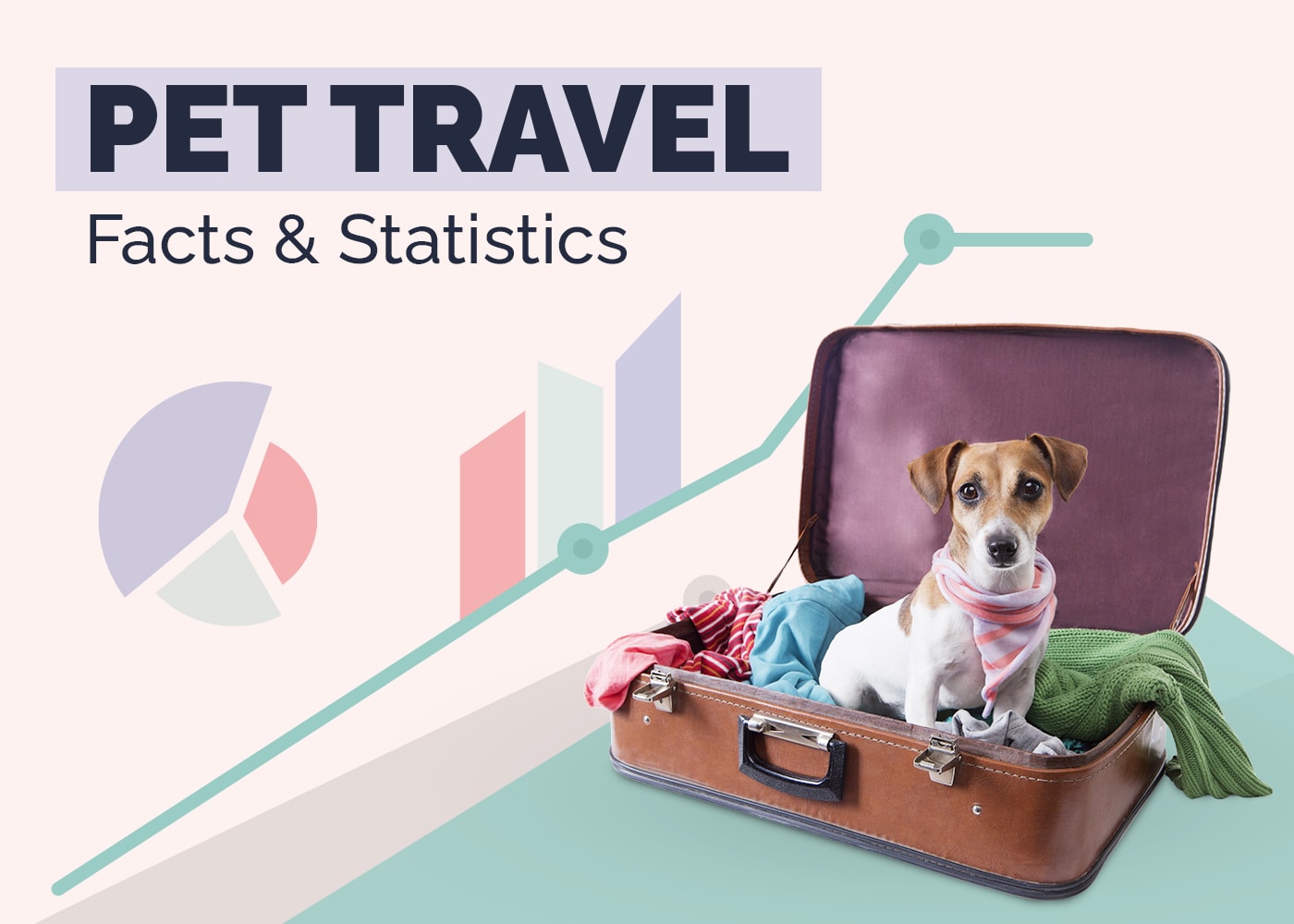 14 Surprising Pet Travel Statistics & Trends: 2026 Update