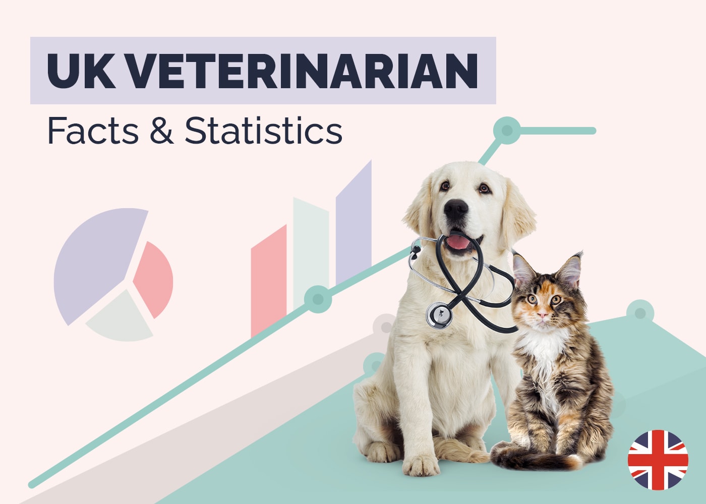 12 Surprising UK Veterinarian Statistics & Facts: 2026 Update