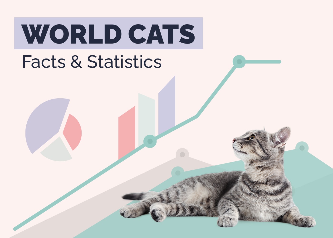 14 Interesting Cat Statistics & Facts: Updated in 2026