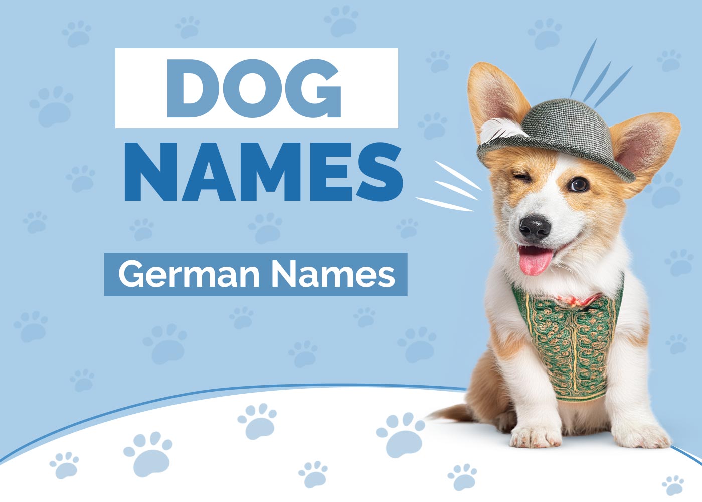 100+ German Dog Names: Deutsch, Unique & Fun Ideas