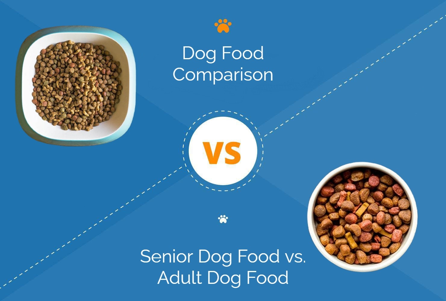 Senior vs Adult Dog Food: Vet Reviewed Differences