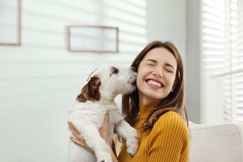 Why Is My Dog So Attached to Me? 7 Typical Reasons