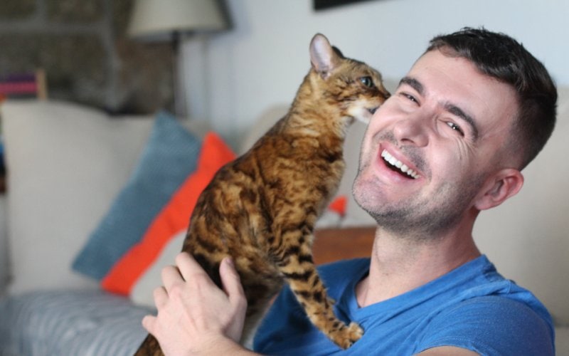 Why Does My Cat Lick My Eye? 6 Vet-Reviewed Reasons