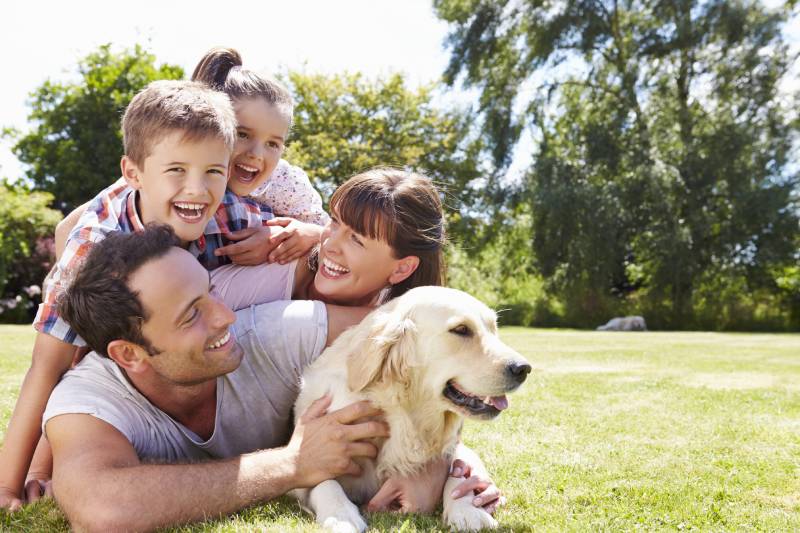 10 Dog Etiquette Rules for Visiting Family: Expert Tips & Advice