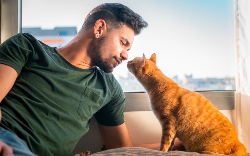 Why Is Your Cat Sniffing Your Face: 6 Vet-Reviewed Reasons