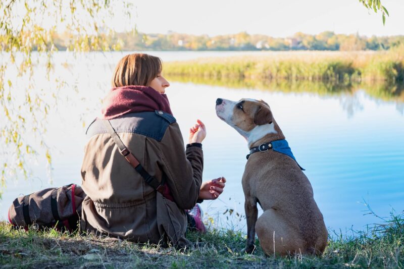 Can Dogs Smell Emotions? What Science Tell Us (Vet-Reviewed)