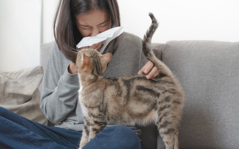 Can Cats Catch the Flu From a Person? The Interesting Answer