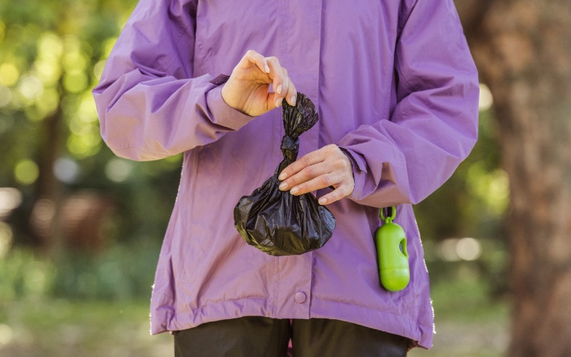 Why Picking Up Dog Poop Is Important: 5 Vet-Reviewed Reasons
