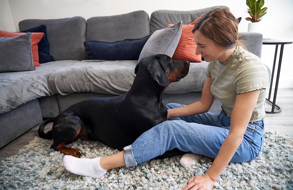 Do Dogs Have a Good Memory? Vet-Verified Facts & FAQ