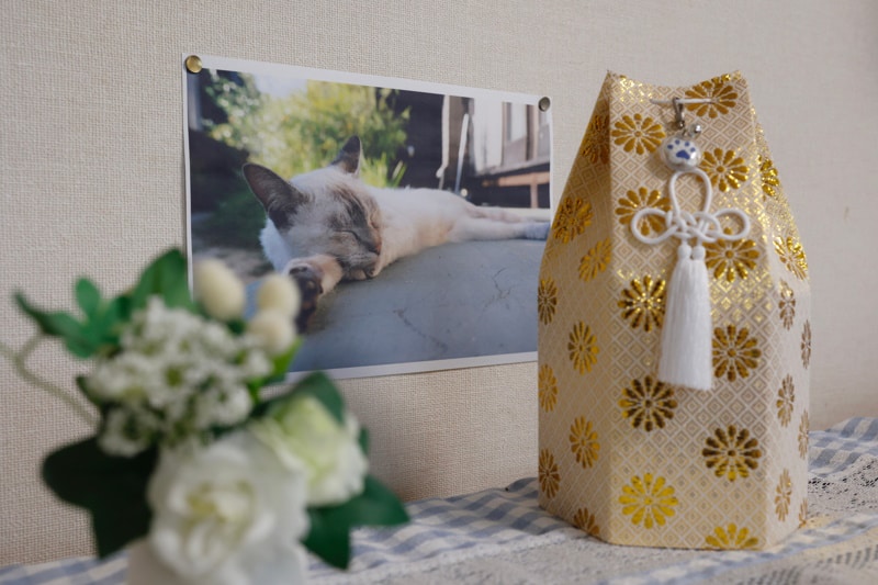 When Is Pet Remembrance Day 2026? Purpose & How to Celebrate