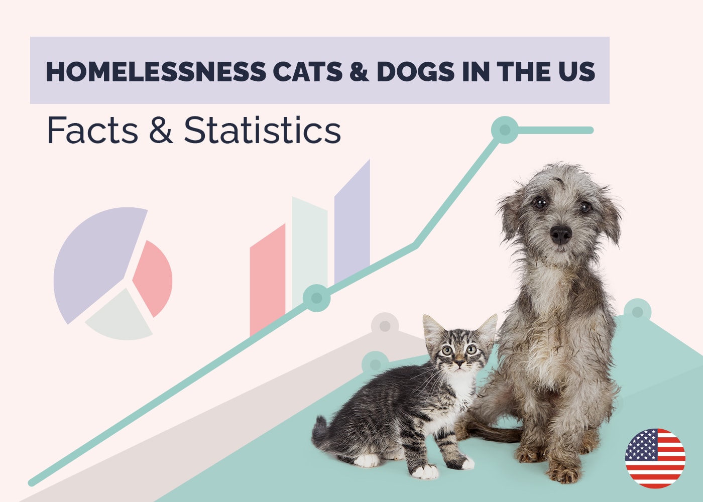 How Many Homeless Cats & Dogs Live in the US? 2026 Statistics Update