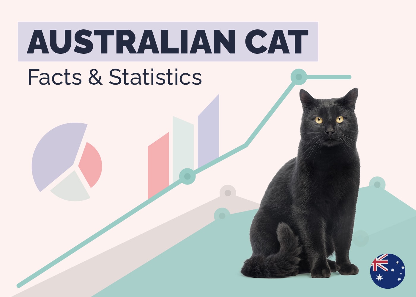 20 Incredible Australian Cat Statistics & Facts: Updated in 2026
