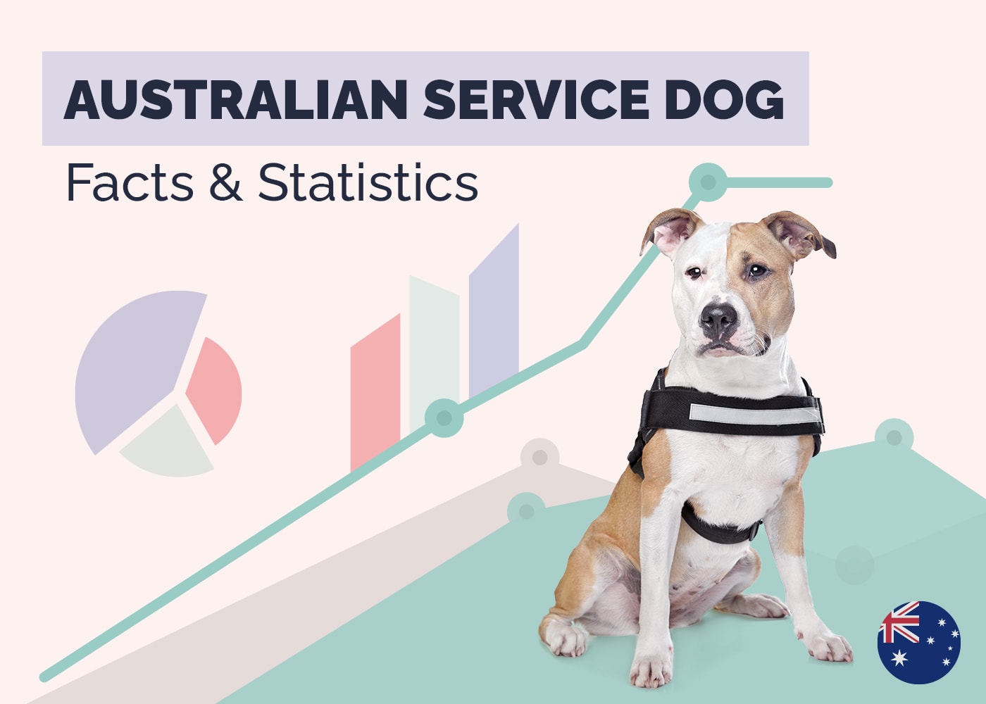 12 Incredible Australia Service Dog Statistics & Facts: Updated in 2026