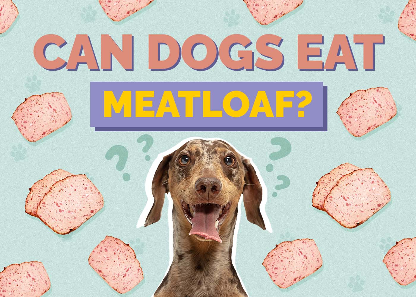 Can Dogs Eat Meatloaf? Vet-Reviewed Facts & FAQ