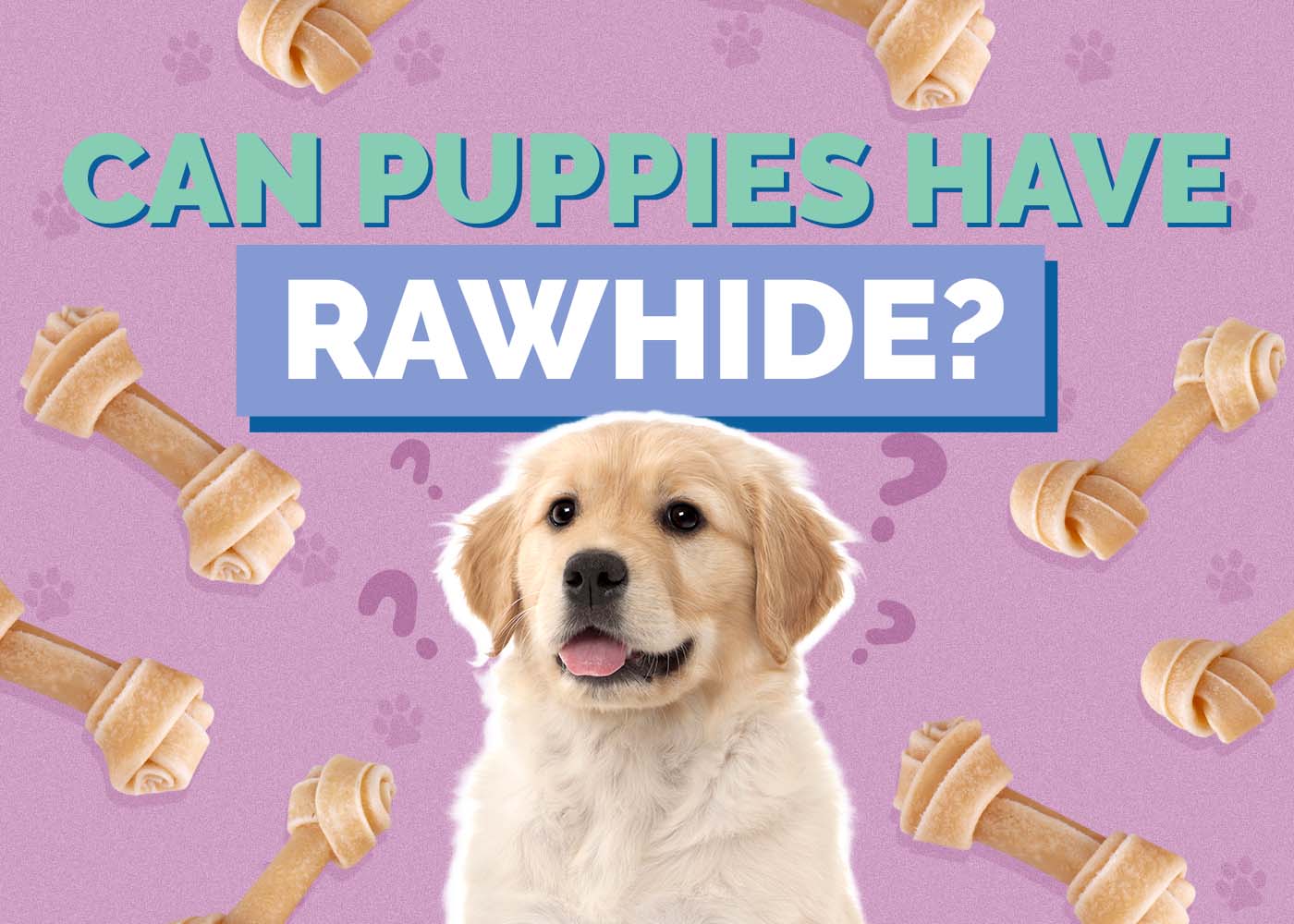 Can Puppies Have Rawhide? Benefits, Substitutes & FAQ