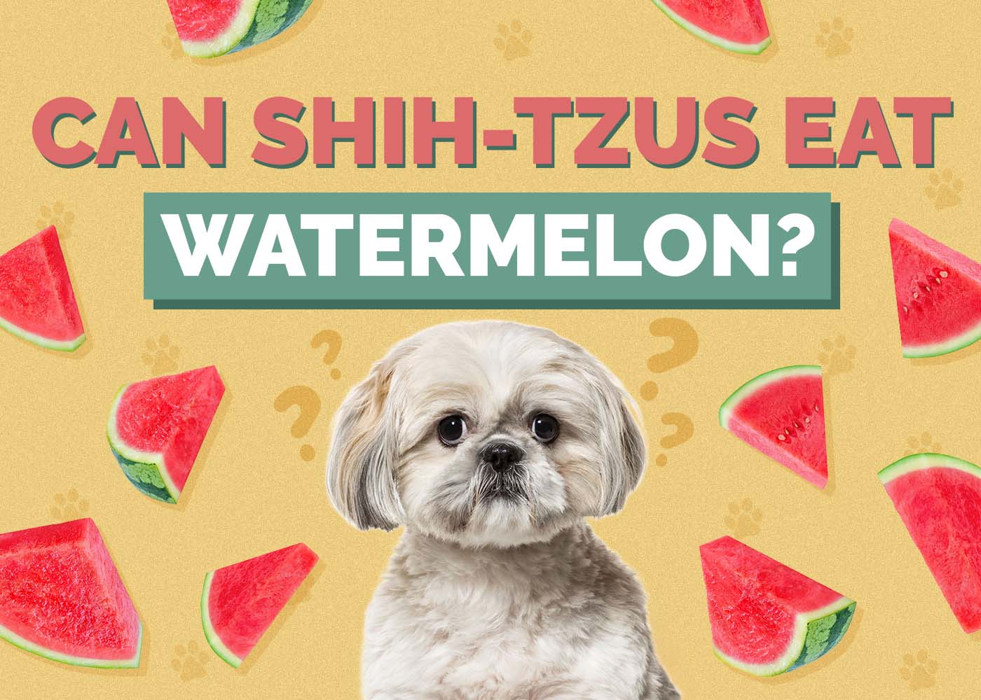 Can Shih Tzus Eat Watermelon? Vet-Reviewed Benefits, Tips & FAQ