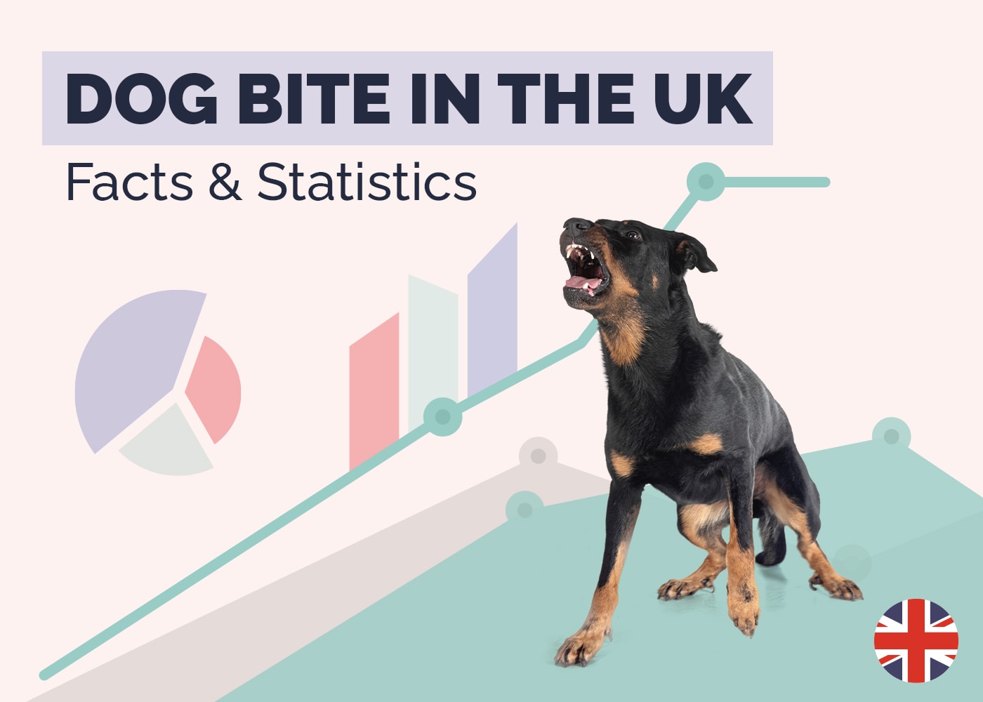 10 Surprising Dog Bite Statistics in the UK (2026 Update)