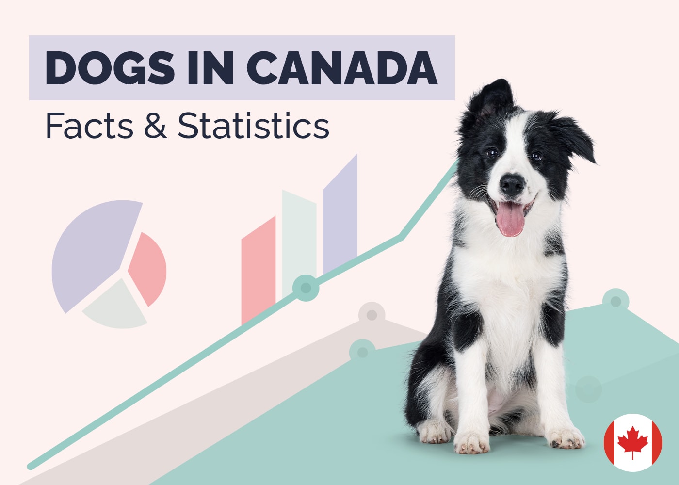 How Many Dogs Are There in Canada? 18 Statistics to Know in 2026