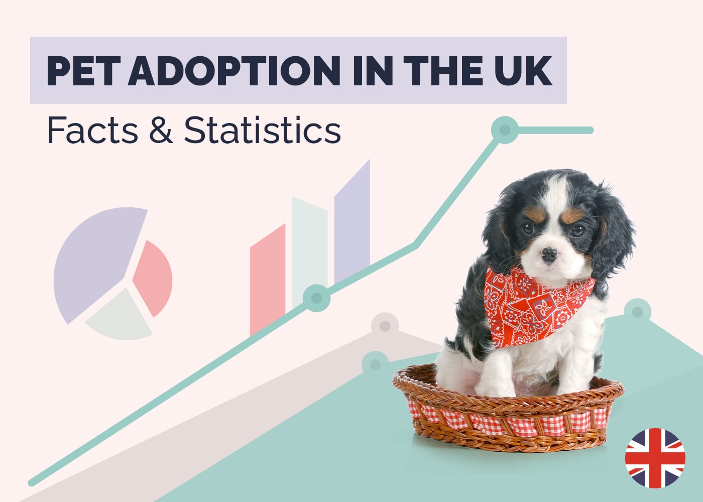 19 UK Pet Adoption Statistics & Facts (Updated in 2026)