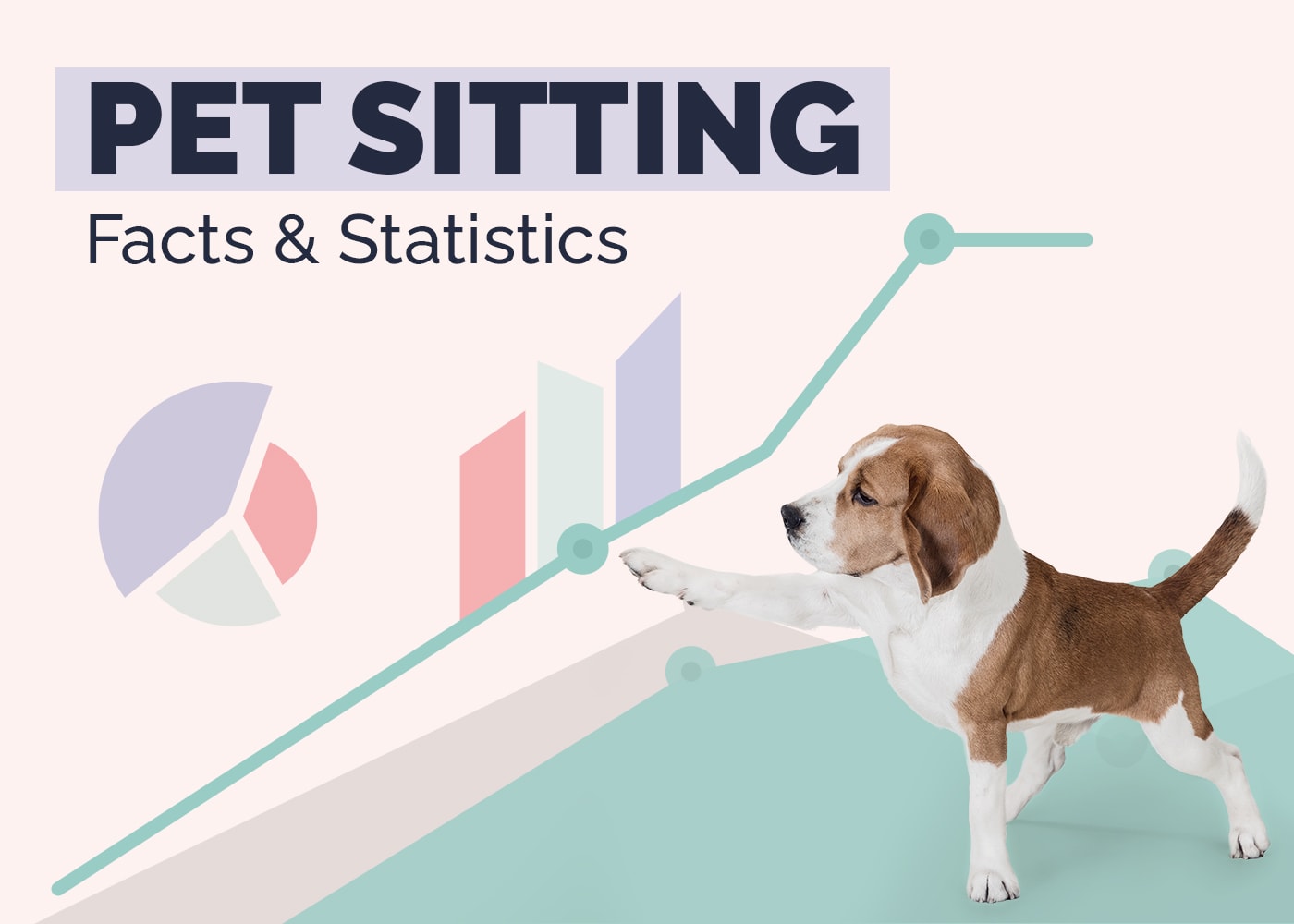 19 Surprising Pet Sitting Statistics & Trends (2026 Update)