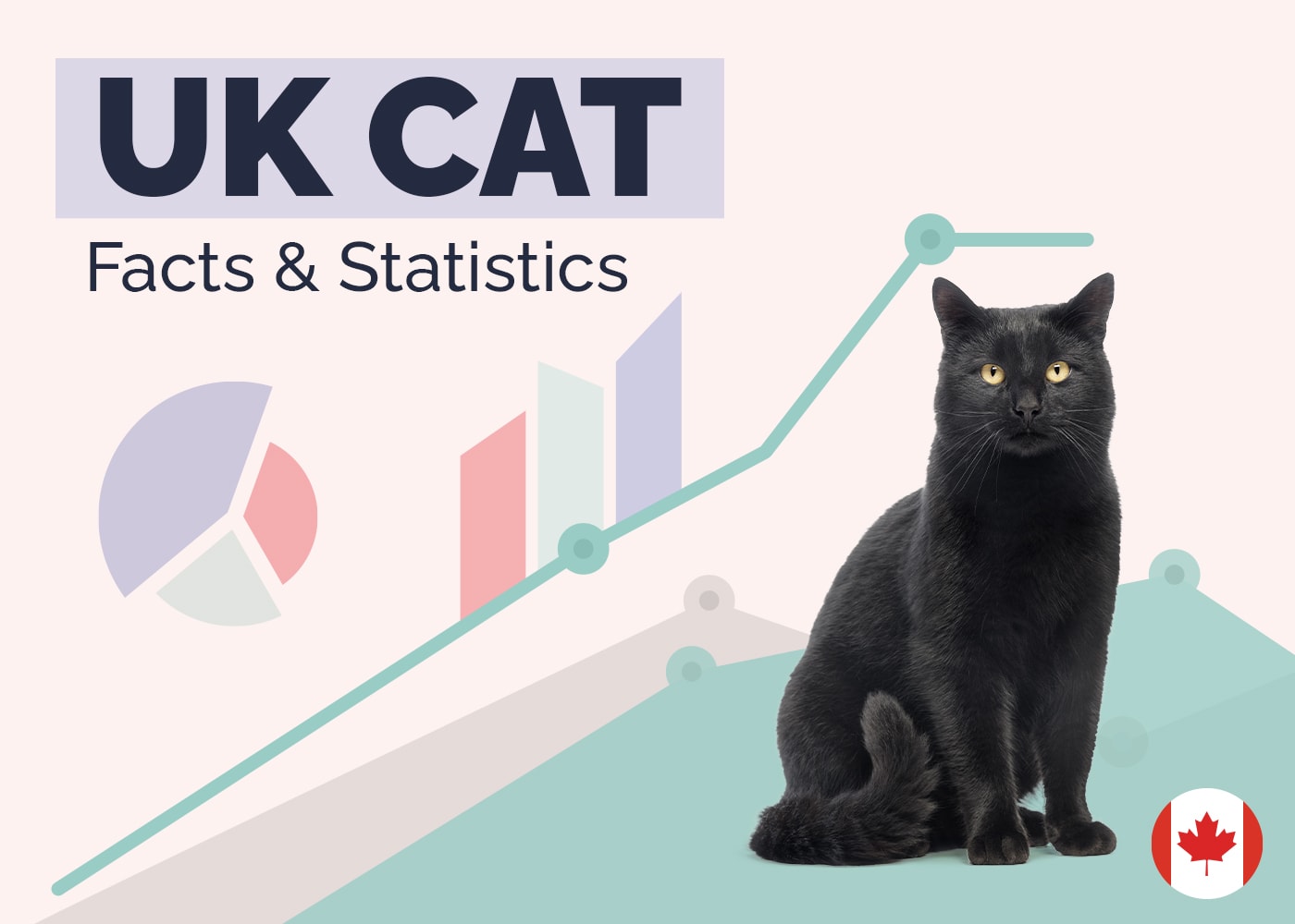 15 Incredible UK Cat Statistics & Facts: Updated in 2026