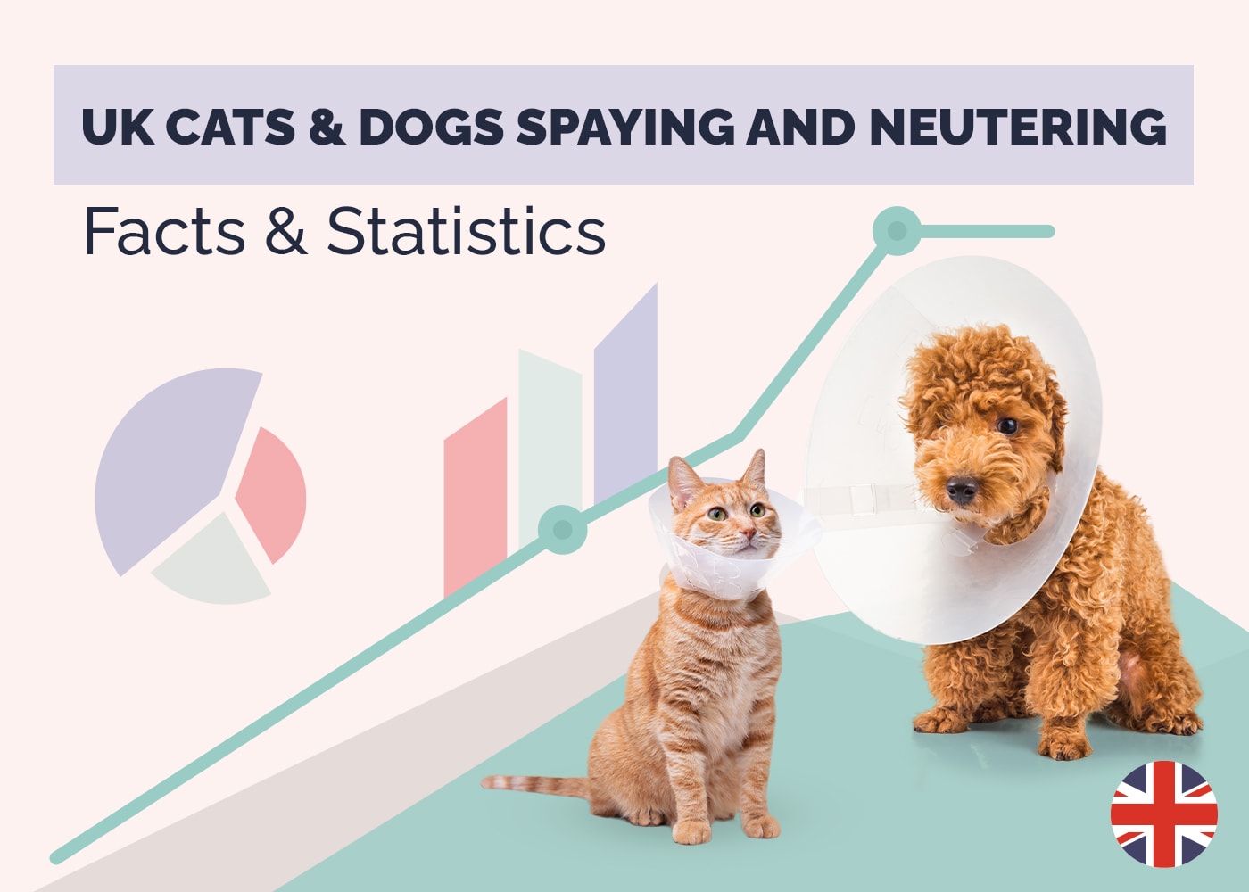How Many Dogs & Cats are Neutered in the UK? 14 Statistics to Know in 2026