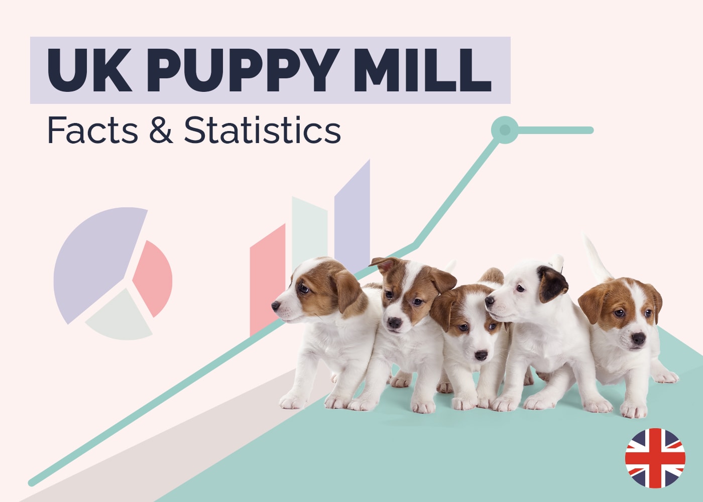16 Shocking UK Puppy Mill Statistics & Facts (2026 Update)