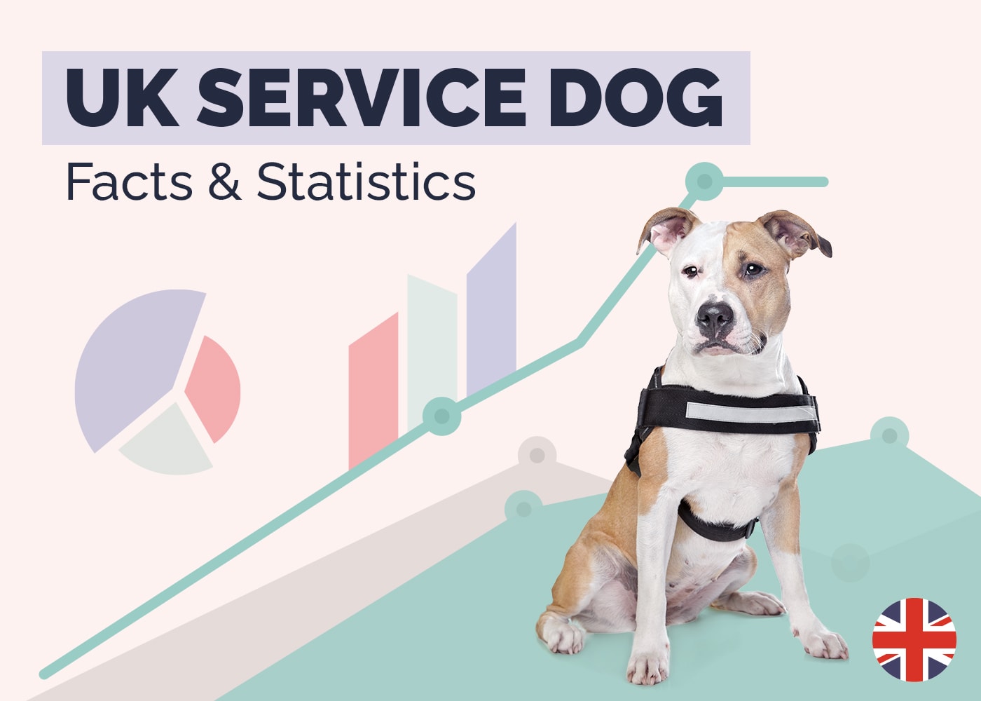 13 Incredible UK Service Dog Statistics & Facts: Updated in 2026