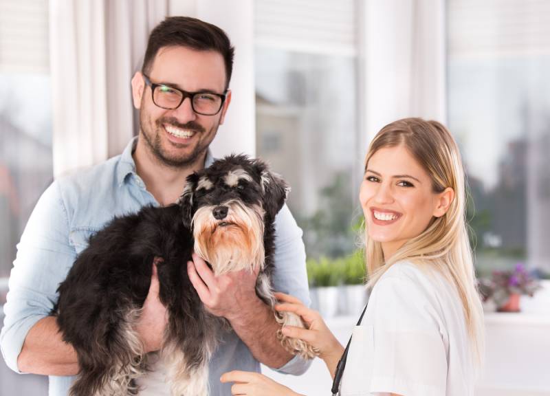 What’s the Price of a Dog in Australia? 2026 Cost Update