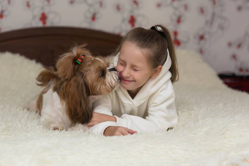Why Does My Dog Lick My Mouth? 5 Vet-Reviewed Reasons