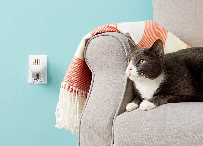 Feliway MultiCat 30 Day Starter Kit Calming Diffuser for Cats